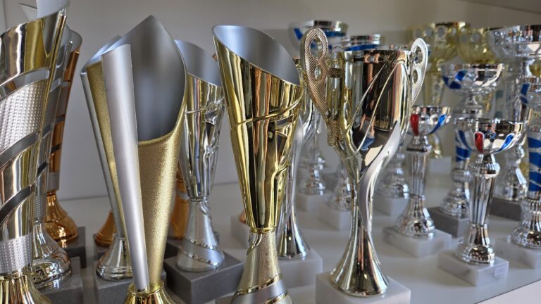 🏆 Fin de saison 2025 : pensez à vos trophées, coupes et médailles avec Sprint Publicité !